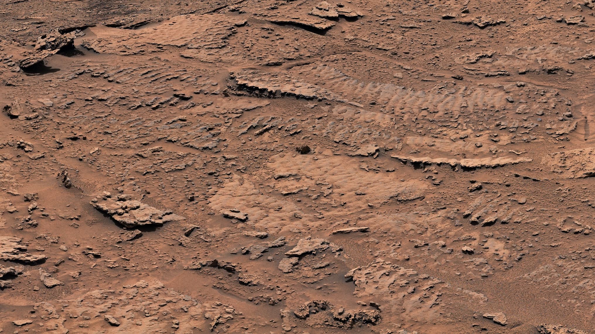 Surface de Mars